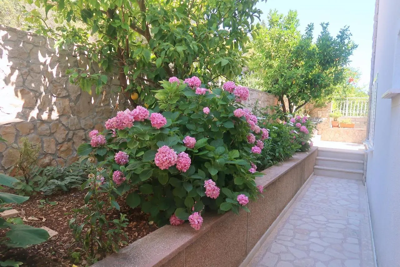 Cvita Apartments Trogir