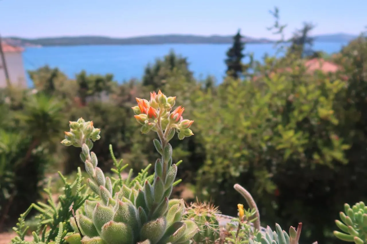 Cvita Apartments Trogir